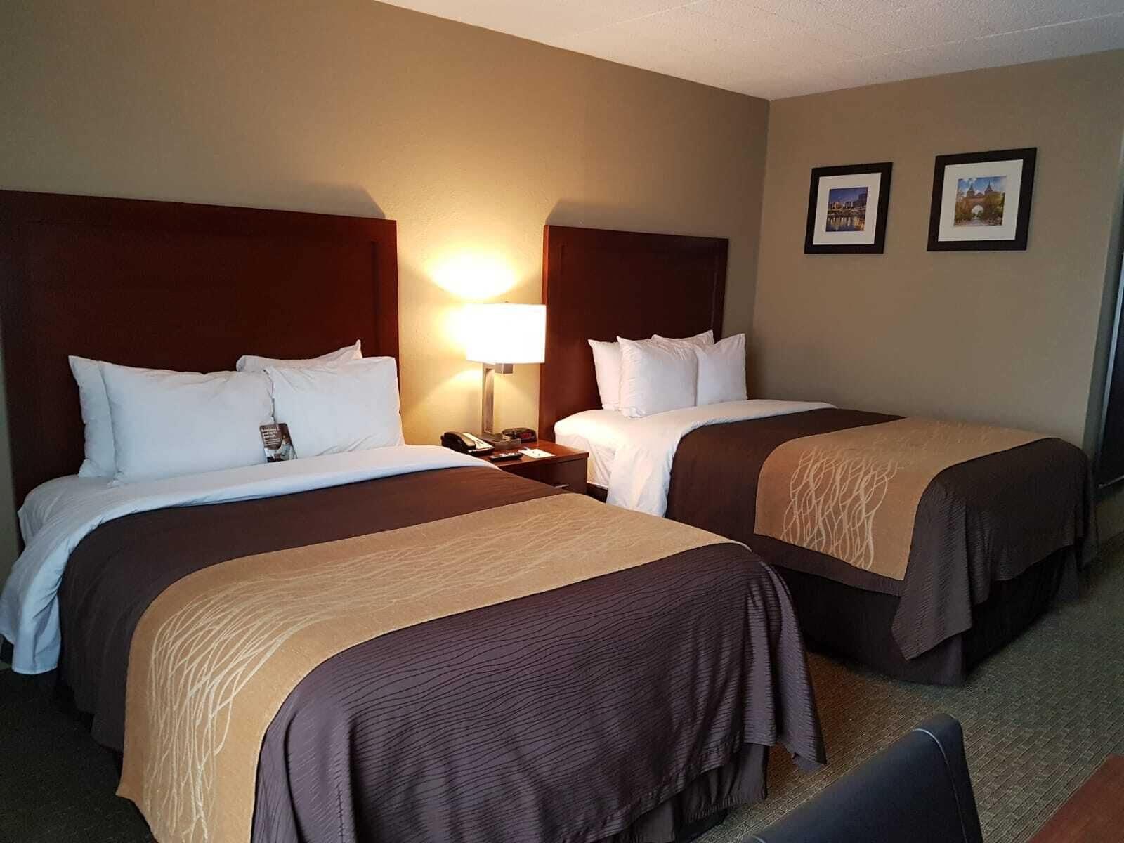 Comfort Inn Wethersfield - Hartford Екстериор снимка